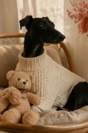 Dog day vlog from four photos source pet photo 3